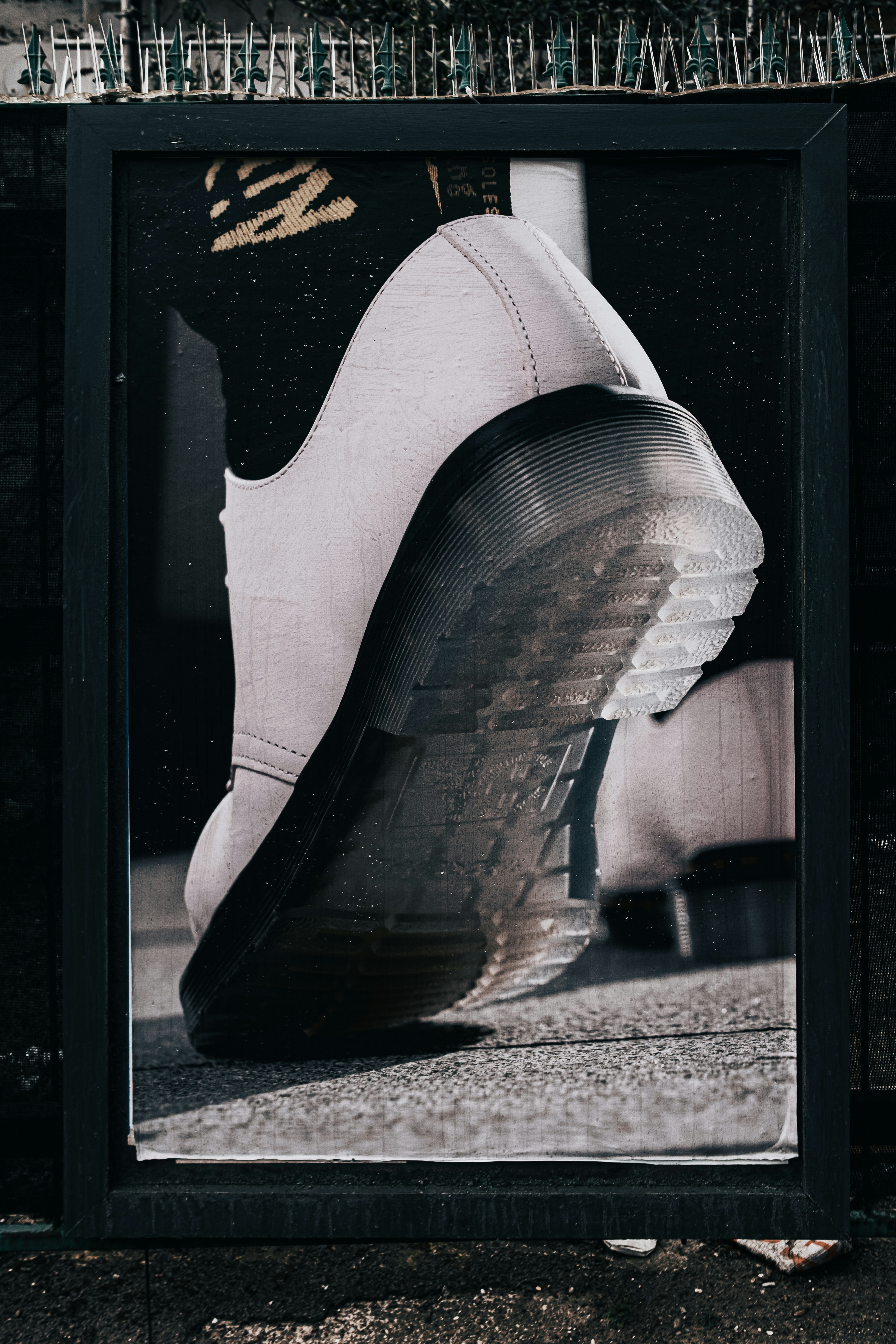 Shoe